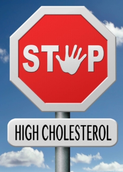 high cholesterol high cholesterol level lower saturated fats to avoid cardiovascular disease